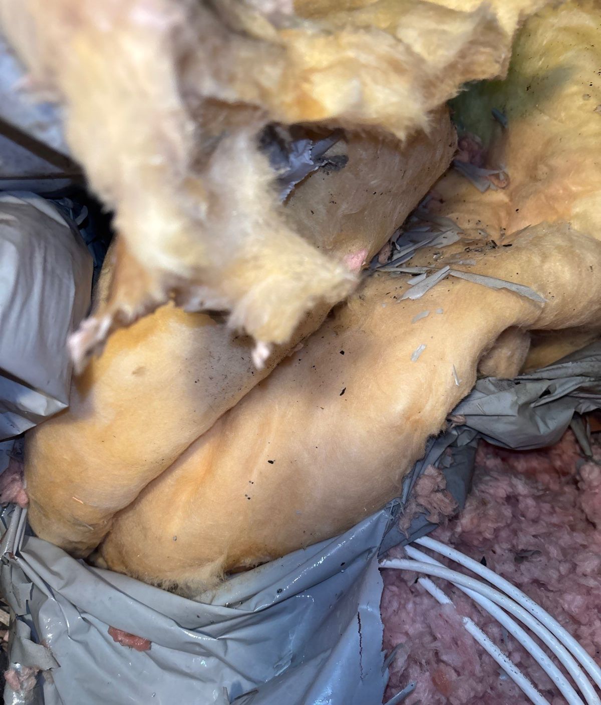 Old deteriorating duct insulation in a Lutz attic