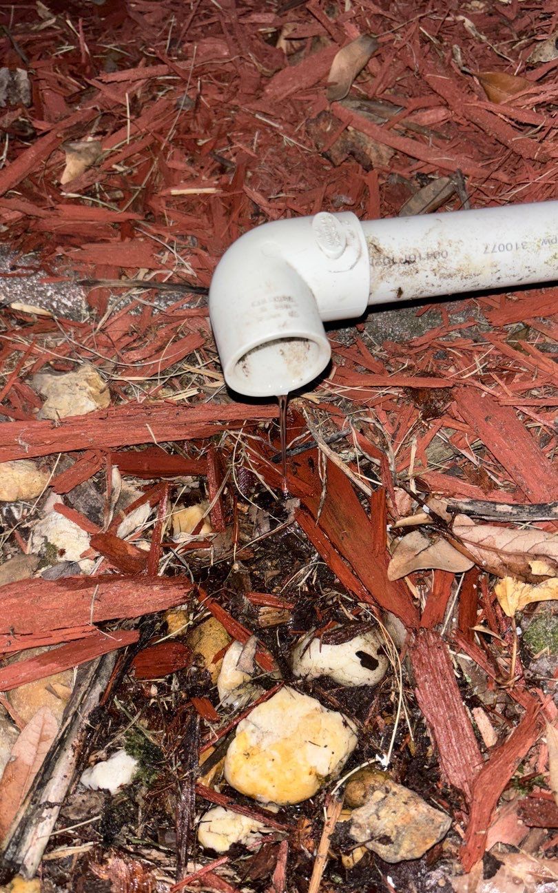 Condensate drain line terminating outside the home